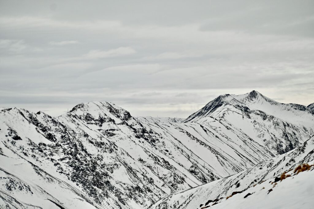 Grand Finals Coverage