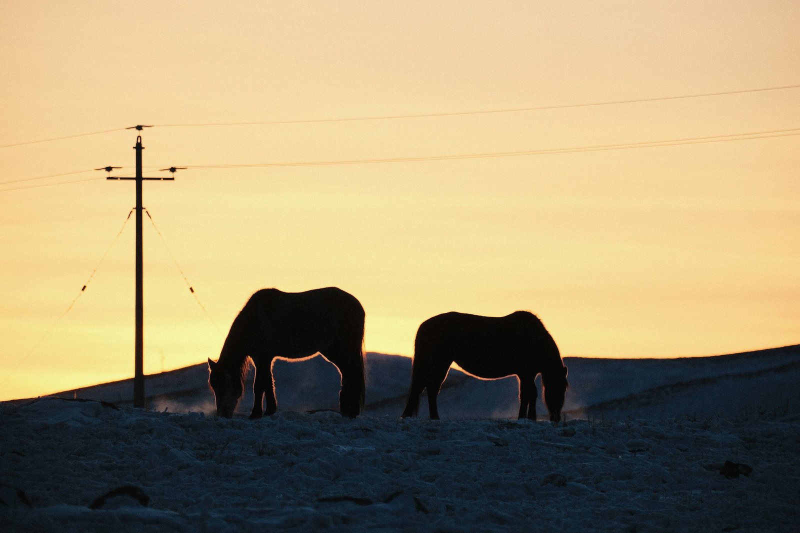 Overwatch League Hold Map Strategies: Mastering the Meta for Victory