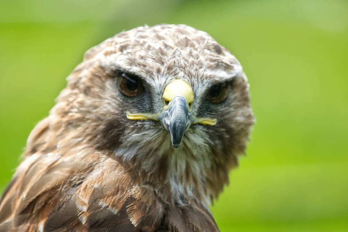 Overwatch League Zone Rotation: Mastering the Competitive Edge in Gaming